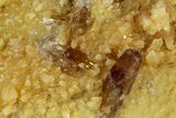 Honey Colored Barite Crystals On Fluorescent Calcite - Elk Creek #227759-2
